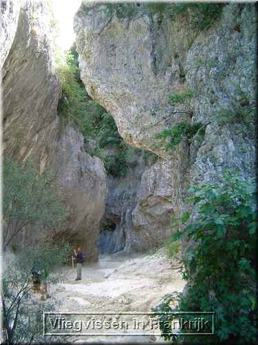 Aiguillon