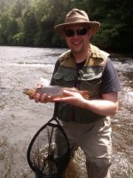 ambleve forel